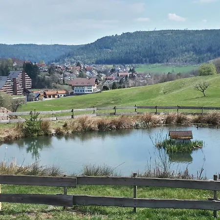 Apartment Haus Schwarzwaldgrund Baiersbronn