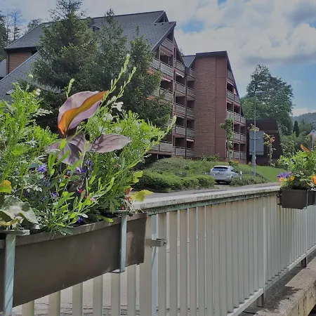 Haus Schwarzwaldgrund Apartment