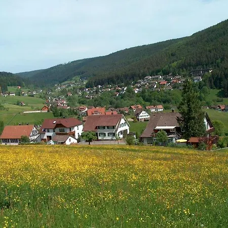 Haus Schwarzwaldgrund
