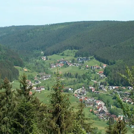 Apartment Haus Schwarzwaldgrund Baiersbronn