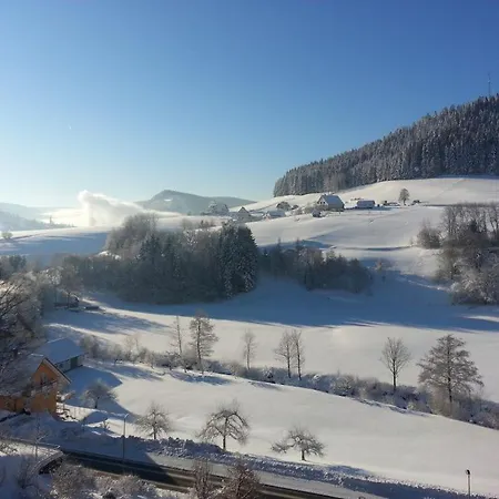 Apartment Haus Schwarzwaldgrund Baiersbronn